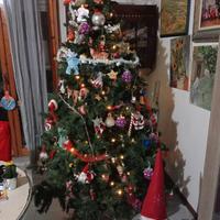 albero di natale 