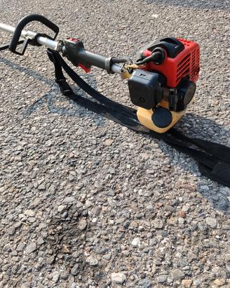 Tagliasiepi asta lunga motore Dunsch