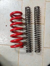 molle ammortizzatori tiger 1050 sport 