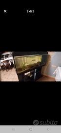 Acquario 