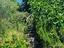 Immagine 12