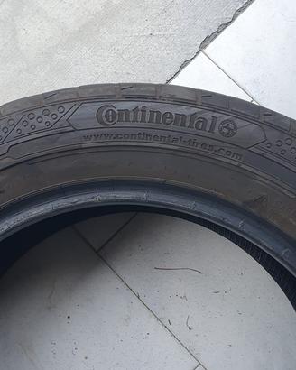 Gomme estive
