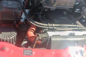 Iveco daily cassonato