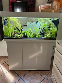 Acquario Juwel Rio 180 e mobiletto