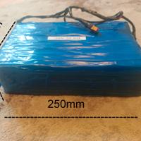 pacco batteria E Bike 25 Ah BSM