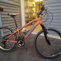 Bicicletta Lombardo tropea 24