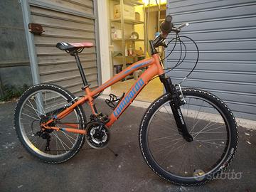 Bicicletta Lombardo tropea 24