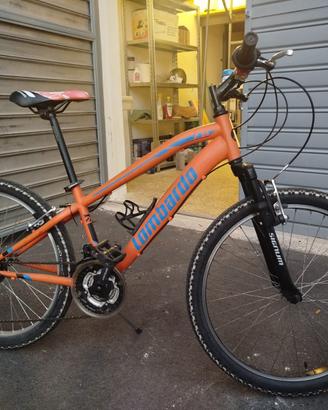 Bicicletta Lombardo tropea 24