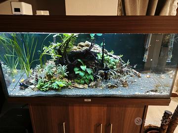Acquario Juwel rio 180 completo di tutti gli acces