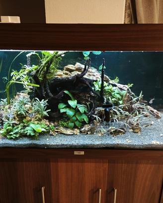 Acquario Juwel rio 180 completo di tutti gli acces