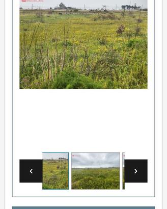 Vendita terreno industriale artigianale