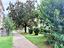 Immagine 22