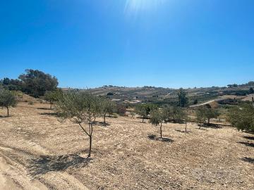 Lotto di terreno edificabile