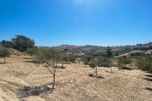 Lotto di terreno edificabile