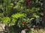 Immagine 20
