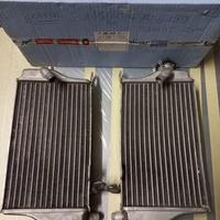 Radiatori aprilia mxv 450
