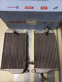 Radiatori aprilia mxv 450