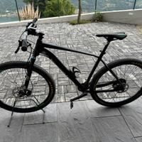 Mtb muscolare Orbea Alma taglia L