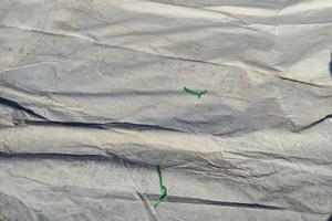 genoa pesante North sails  130