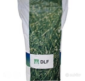SEMENZA PRATO FESTUCA ARUNDINACEA 40 kg 01/26 semi