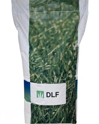 SEMENZA PRATO FESTUCA ARUNDINACEA 40 kg 01/26 semi