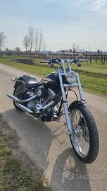 Harley Davidson Softail (TwinCam 96), perfetta.