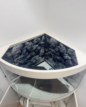 ACQUARIO TRIGON