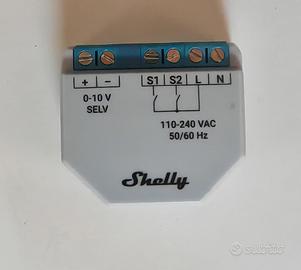 Shelly 0/10