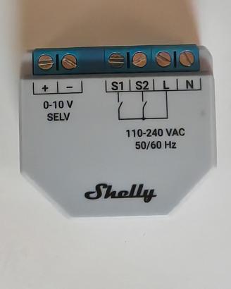 Shelly 0/10