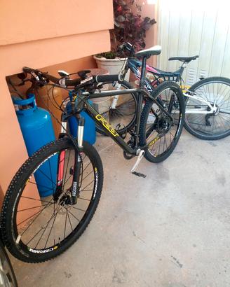 montanbike al carbonio