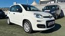 fiat-panda-1-2-312pxa1a-benzina-169a4000-cc-124