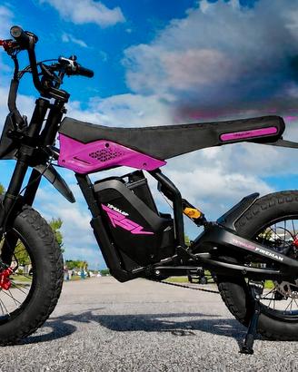 Pit bike elettriche USA demo perfette