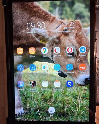 tablet samsung galaxy A