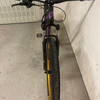 Bici collective c100