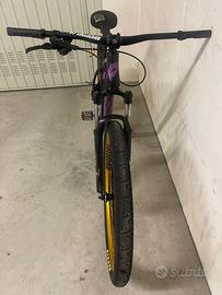 Bici collective c100
