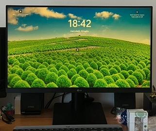 Monitor LG 24 pollici