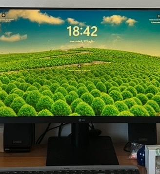 Monitor LG 24 pollici