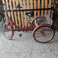 bicicletta 3 ruote