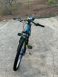 Bici olmo sentiero