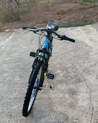 Bici olmo sentiero