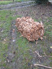 Ballette di foglie , lettiera animali