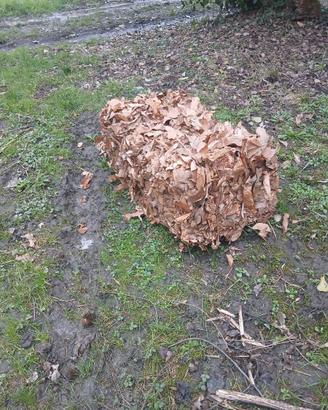 Ballette di foglie , lettiera animali