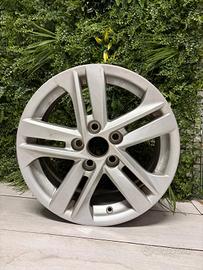 CERCHI IN LEGA HUNDAY 16 POLLICI