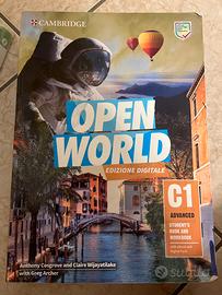 open world edizione digitale C1