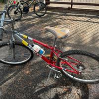 Bicicletta