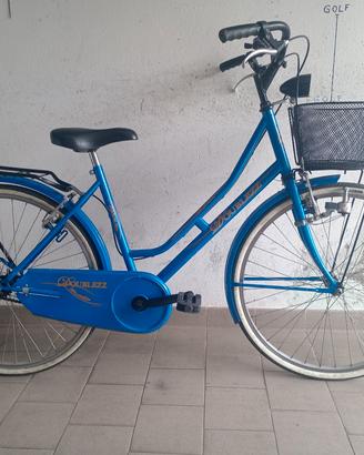 olandesina da 26 pollici 