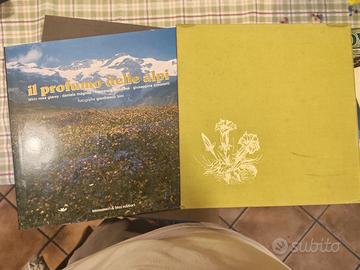 Collezione 9 Libri Montagna e Fotografia Biellese