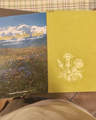 Collezione 9 Libri Montagna e Fotografia Biellese
