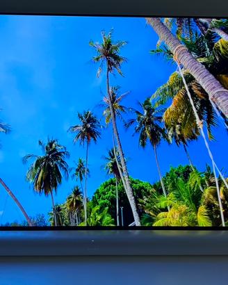 Televisore oled sony modello XR 65A90J