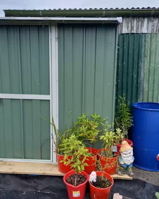 Casetta giardino in Acciaio 155x100cm verde